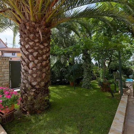 In With Swimming Pool בית נופש פולה